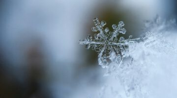 Image pour illustrer les zones de neiges