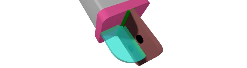 L’excentricité dans les assemblages de bracons